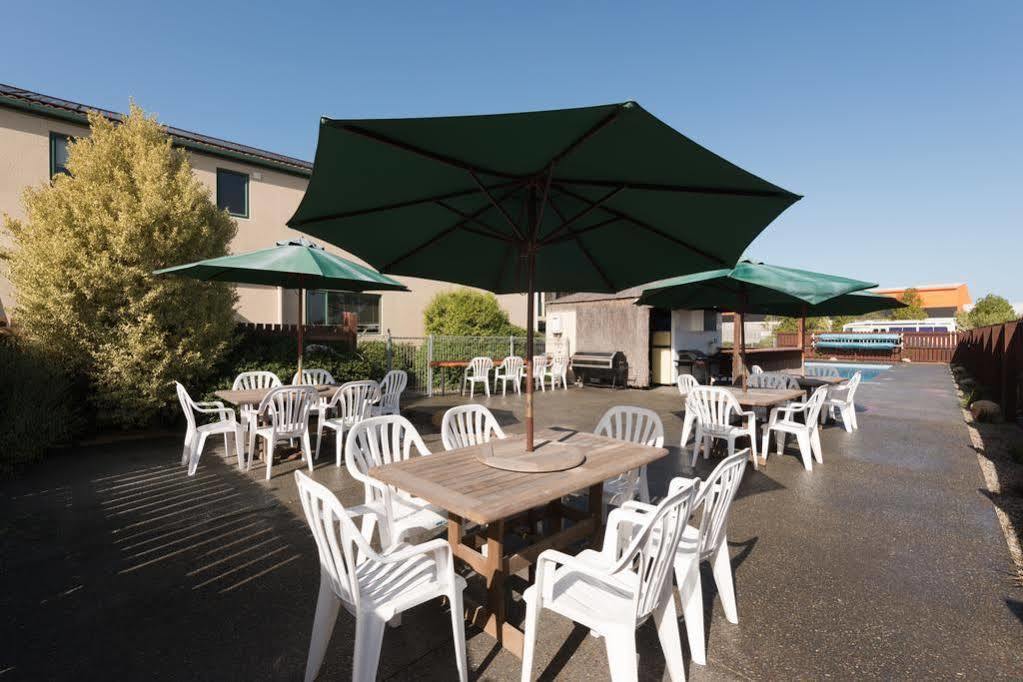 Lobster Inn Motel Kaikoura Bagian luar foto